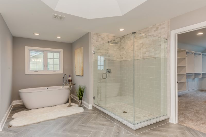 Elegant Shower and Tub Combo